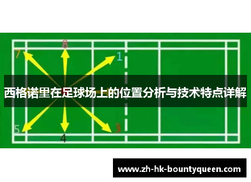 西格诺里在足球场上的位置分析与技术特点详解