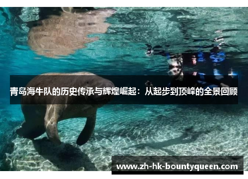 青岛海牛队的历史传承与辉煌崛起：从起步到顶峰的全景回顾